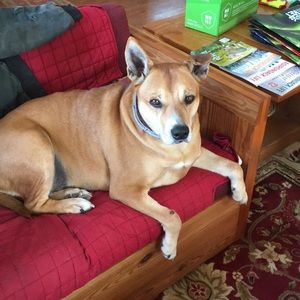 Meet your Posher, Ana